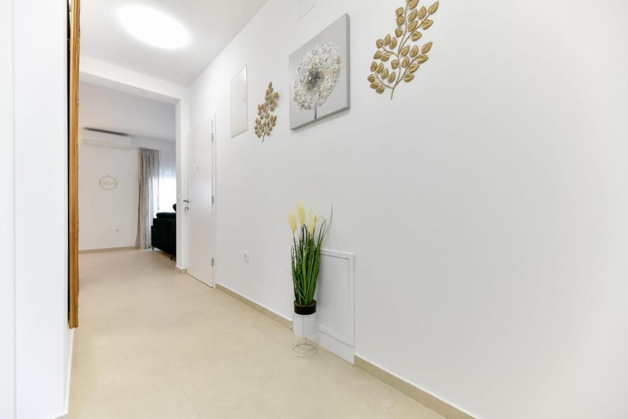 Family Apartment Amare Zadar Exterior foto